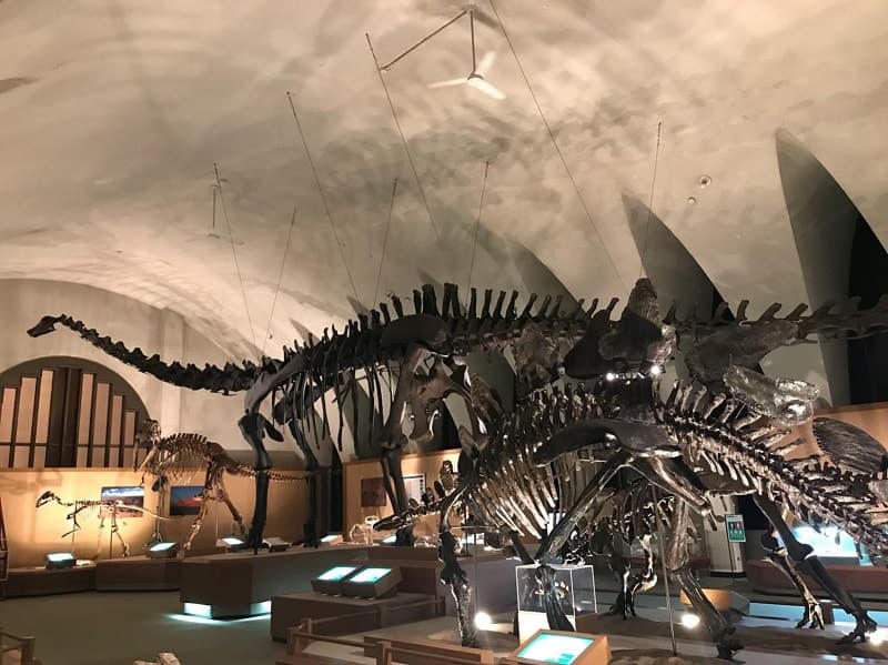 恐竜博物館